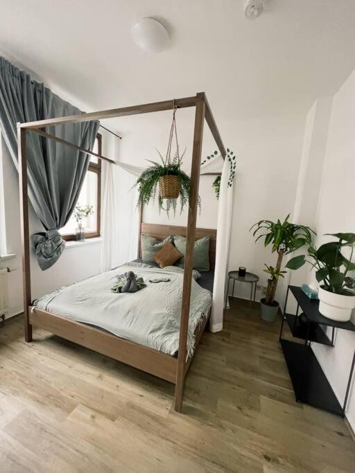 צוויקאו Pretty Home City Jungle מראה חיצוני תמונה